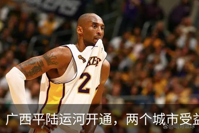 广西平陆运河开通，两个城市受益很大，一个城市受到影响